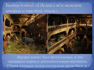 Внутри ковчег был трехэтажным, и это
придавало корпусу дополнительную жесткость.
Общая площадь полов составляла около 8900 м 2
 