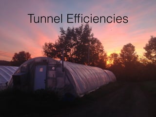 Tunnel Efﬁciencies
 