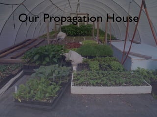 Our Propagation House
 