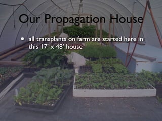Our Propagation House
• all transplants on farm are started here in
this 17’ x 48’ house
 