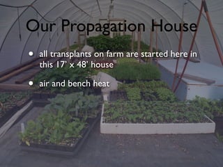 Our Propagation House
• all transplants on farm are started here in
this 17’ x 48’ house
• air and bench heat
 