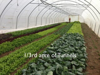 1/3rd acre of Tunnels
 