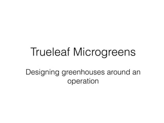 Trueleaf Microgreens
Designing greenhouses around an
operation
 