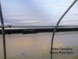 Andre Cantelmo
Heron Pond Farm
 