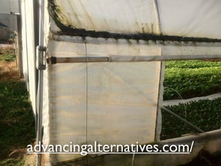 advancingalternatives.com/
 