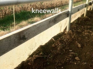 kneewalls
 