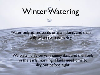 Winter Watering
Water only to set seeds or transplants and then
only when soil seems dry
We water only on very sunny days and then only
in the early morning. Plants need time to
dry out before night.
 