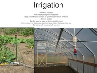 Irrigation
Overhead Irrigation:
Requires higher pressure system
Drop assemblies in tunnels or sprinklers on stands for ﬁelds
Mimics rainfall
Can be used to water in direct seeded crops
Different options for droplet size, diameter of spray, pattern of spray, and ﬂow rate
Can be manually or automatically operated
 