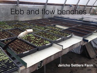 Ebb and ﬂow benches
Jericho Settlers Farm
 