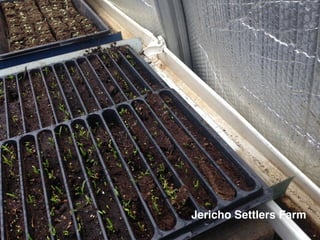 Jericho Settlers Farm
 