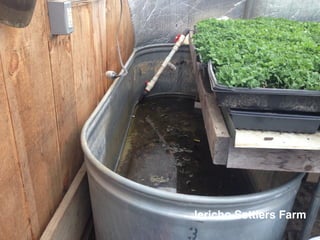 Jericho Settlers Farm
 