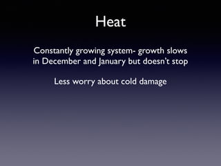 Heat
Constantly growing system- growth slows
in December and January but doesn’t stop
Less worry about cold damage
 