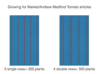 Growing for Market/Andrew Medford Tomato articles
5 single rows= 200 plants 4 double rows= 320 plants
 