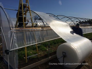 Courtesy Adam Lemieux/Johnnys Seeds
 