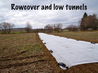 Rowcover and low tunnels
 