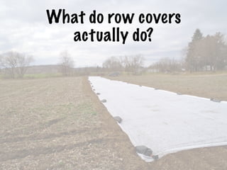 What do row covers
actually do?
 