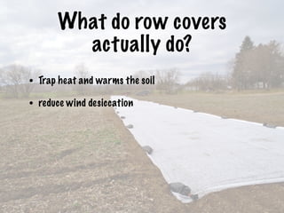What do row covers
actually do?
• Trap heat and warms the soil
• reduce wind desiccation
 