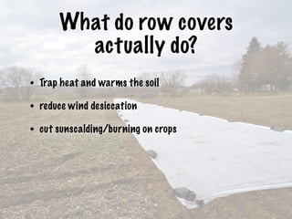 What do row covers
actually do?
• Trap heat and warms the soil
• reduce wind desiccation
• cut sunscalding/burning on crops
 