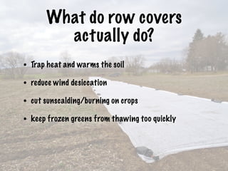 What do row covers
actually do?
• Trap heat and warms the soil
• reduce wind desiccation
• cut sunscalding/burning on crops
• keep frozen greens from thawing too quickly
 