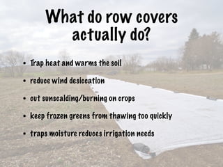 What do row covers
actually do?
• Trap heat and warms the soil
• reduce wind desiccation
• cut sunscalding/burning on crops
• keep frozen greens from thawing too quickly
• traps moisture reduces irrigation needs
 