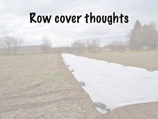 Row cover thoughts
 