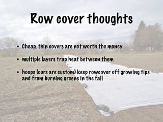Row cover thoughts
• Cheap, thin covers are not worth the money
• multiple layers trap heat between them
• hoops (ours are custom) keep rowcover off growing tips
and from burning greens in the fall
 