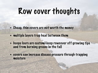 Row cover thoughts
• Cheap, thin covers are not worth the money
• multiple layers trap heat between them
• hoops (ours are custom) keep rowcover off growing tips
and from burning greens in the fall
• covers can increase disease pressure through trapping
moisture
 