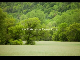 25-30 Acres in Cover Crop
 