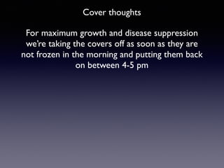 Cover thoughts
For maximum growth and disease suppression
we’re taking the covers off as soon as they are
not frozen in the morning and putting them back
on between 4-5 pm
 