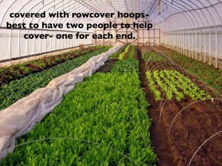 covered with rowcover hoops-
best to have two people to help
cover- one for each end.
 