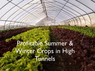 Proﬁtable Summer &
Winter Crops in High
Tunnels
 