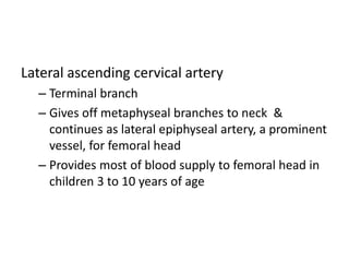Lateral ascending cervical artery
– Terminal branch
– Gives off metaphyseal branches to neck &
continues as lateral epiphyseal artery, a prominent
vessel, for femoral head
– Provides most of blood supply to femoral head in
children 3 to 10 years of age
 