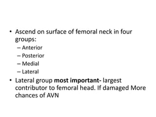 • Ascend on surface of femoral neck in four
groups:
– Anterior
– Posterior
– Medial
– Lateral
• Lateral group most important- largest
contributor to femoral head. If damaged More
chances of AVN
 