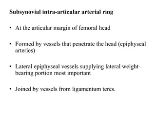 Subsynovial intra-articular arterial ring
• At the articular margin of femoral head
• Formed by vessels that penetrate the head (epiphyseal
arteries)
• Lateral epiphyseal vessels supplying lateral weight-
bearing portion most important
• Joined by vessels from ligamentum teres.
 