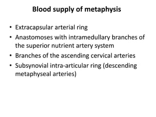 Blood supply of metaphysis
• Extracapsular arterial ring
• Anastomoses with intramedullary branches of
the superior nutrient artery system
• Branches of the ascending cervical arteries
• Subsynovial intra-articular ring (descending
metaphyseal arteries)
 