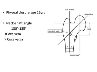 • Physeal closure age 16yrs
• Neck-shaft angle
130°-135°
<Coxa vera
> Coxa valga
 