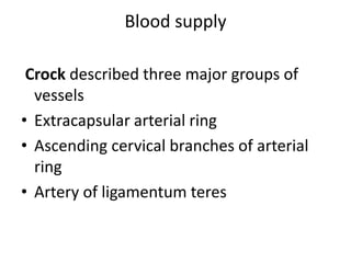 Blood supply
Crock described three major groups of
vessels
• Extracapsular arterial ring
• Ascending cervical branches of arterial
ring
• Artery of ligamentum teres
 