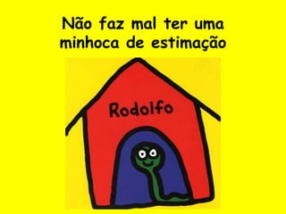 Não faz mal ter umaminhoca de estimação