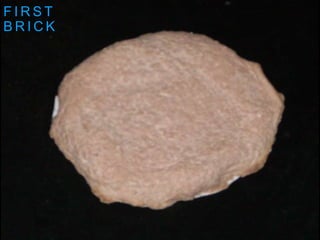 F I R S T
B R I C K
 