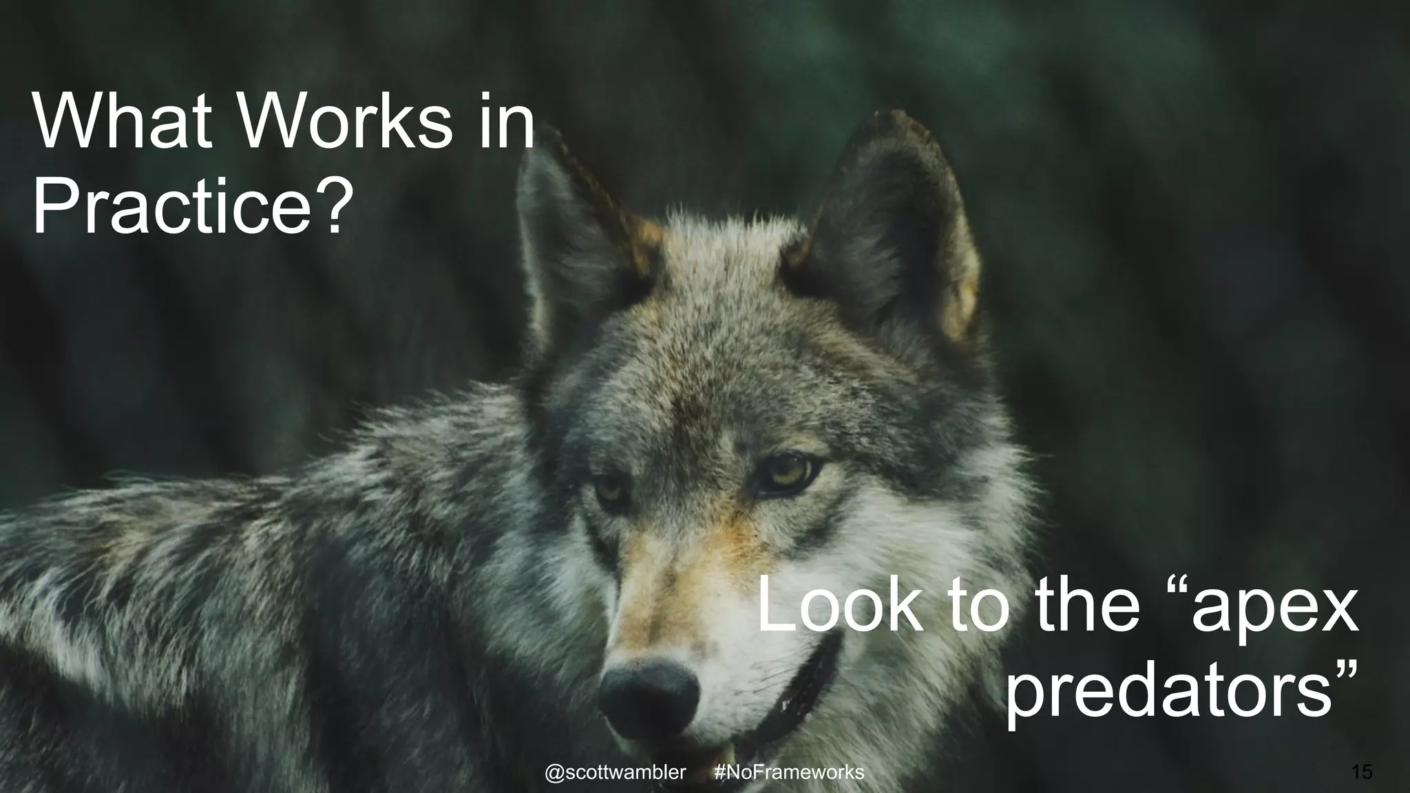 What Works in
Practice?
@scottwambler #NoFrameworks
Look to the “apex
predators”
15
 
