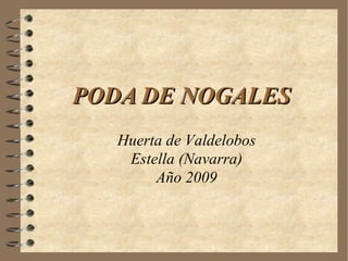 PODA DE NOGALES  Huerta de Valdelobos Estella (Navarra) Año 2009 