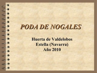 PODA DE NOGALES  Huerta de Valdelobos Estella (Navarra) Año 2010 