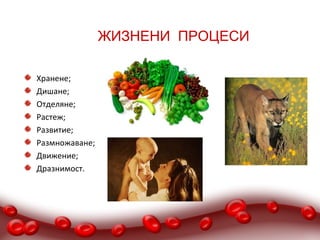 ЖИЗНЕНИ ПРОЦЕСИ

Хранене;
Дишане;
Отделяне;
Растеж;
Развитие;
Размножаване;
Движение;
Дразнимост.
 