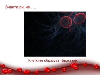 Знаете ли, че ….




           Клетките образуват фрактали.
 