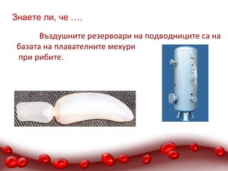 Знаете ли, че ….

       Въздушните резервоари на подводниците са на
 базата на плавателните мехури
 при рибите.
 