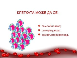 КЛЕТКАТА МОЖЕ ДА СЕ:
 



            самообновява;
            саморегулира; 
            самовъзпроизвежда.
 