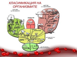 КЛAСИФИКАЦИЯ НА ОРГАНИЗМИТЕ
 