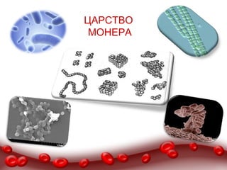 ЦАРСТВО
 МОНЕРА
 