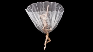 No Gravity Dance Emiliano Pellisari