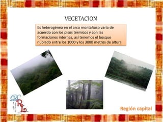 Es heterogénea en el arco montañoso varía de
acuerdo con los pisos térmicos y con las
formaciones internas, así tenemos el bosque
nublado entre los 1000 y los 3000 metros de altura
VEGETACION
 